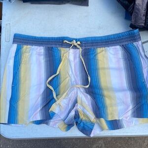 Ann Taylor/Loft Striped Blue and Yellow Women’s Casual Shorts
